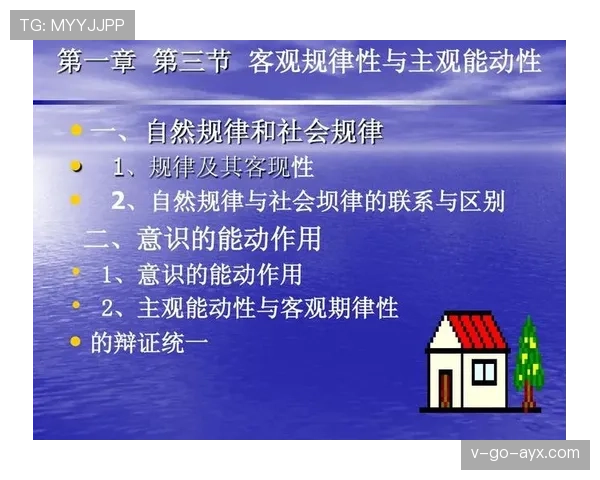 判罚标准：裁判根据主观与客观证据判定犯规的核心依据